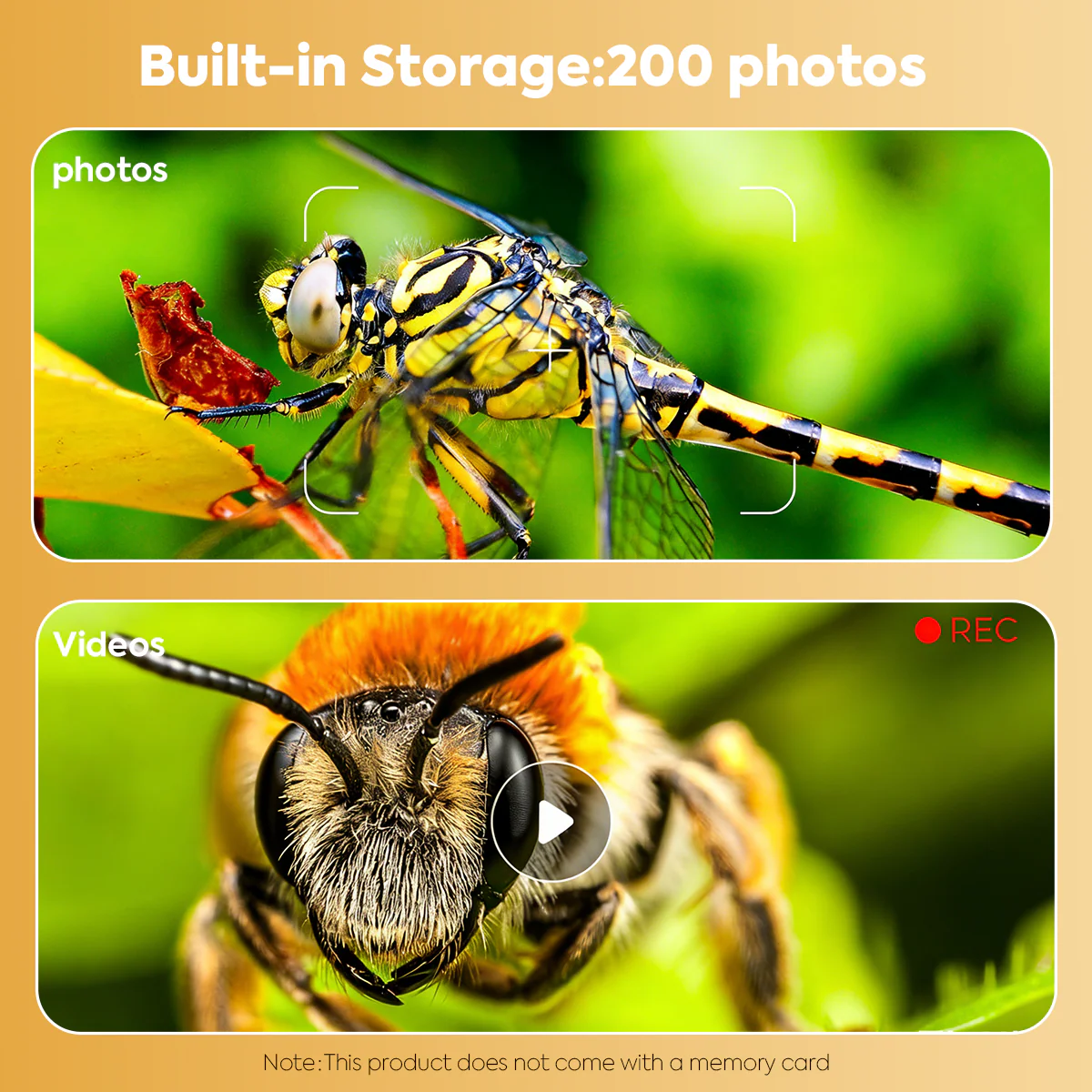 4K Discovery Microscope - Image 4
