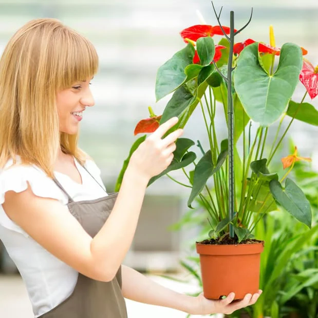5 pack Stackable, Rot-Proof Plant Support - Image 5