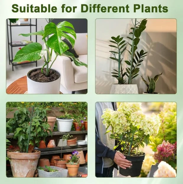 5 pack Stackable, Rot-Proof Plant Support - Image 6