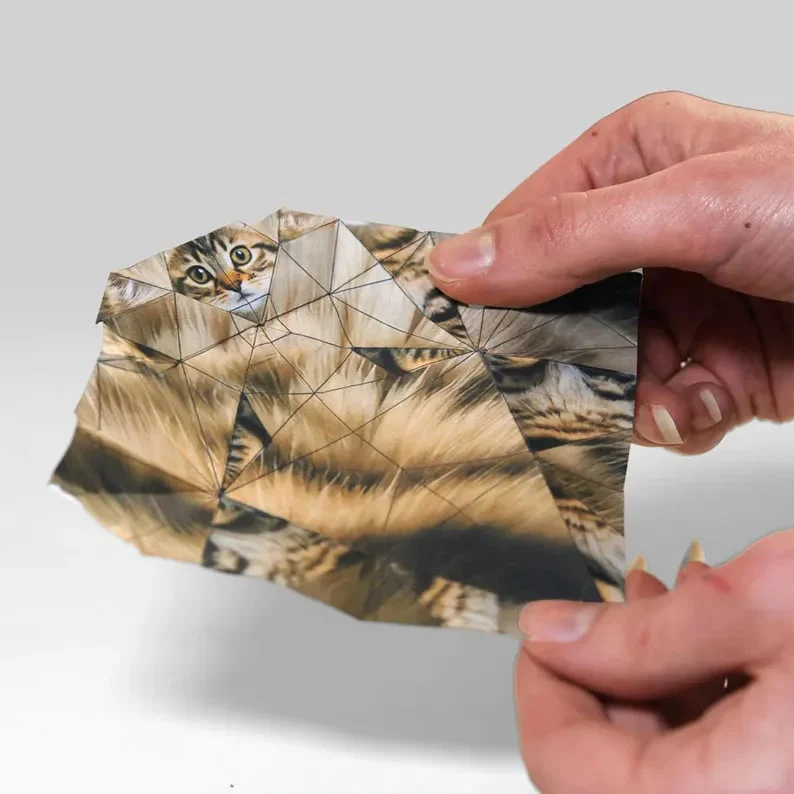 😻✨Easy DIY Paper Cats Kit | Guided Lines & Instructions Included 🎁Buy More Save More - Image 16