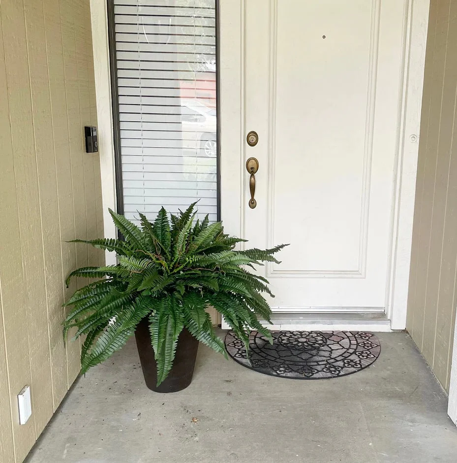 🌿UV Resistant Lifelike Artificial Boston Fern - Image 11