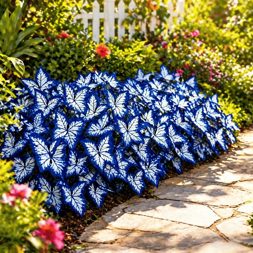 🌸 Moonlight Butterfly Flower Seeds - Image 11