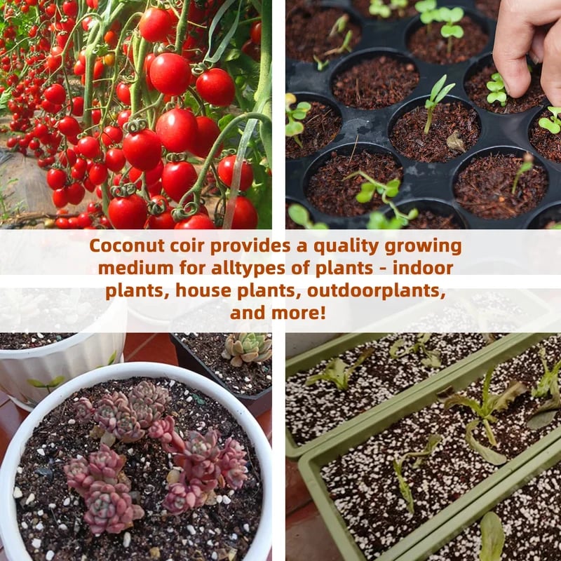 🌱Premium Organic Coconut Coir Bricks for Plants - Image 10