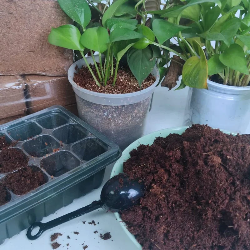 🌱Premium Organic Coconut Coir Bricks for Plants - Image 12