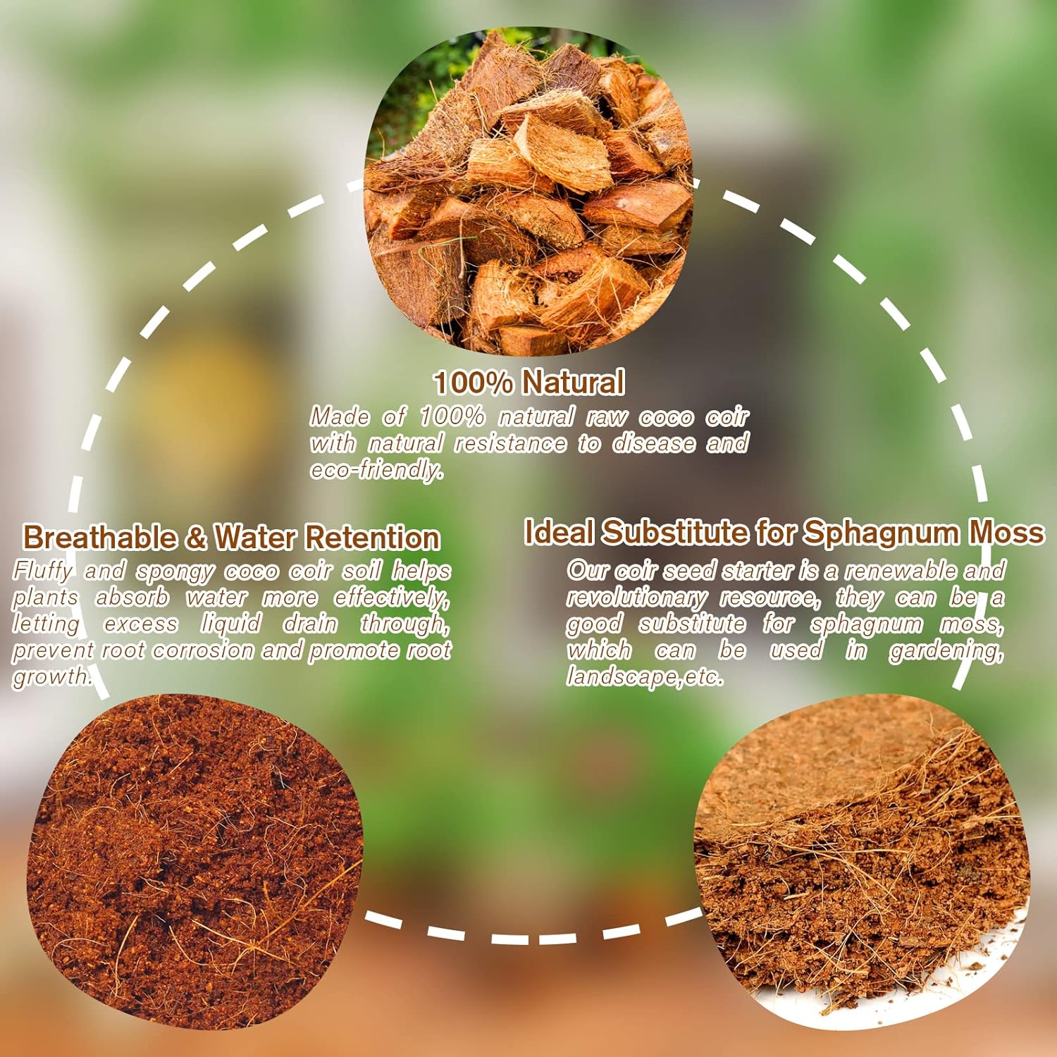 🌱Premium Organic Coconut Coir Bricks for Plants - Image 2