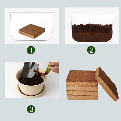 🌱Premium Organic Coconut Coir Bricks for Plants - Image 6