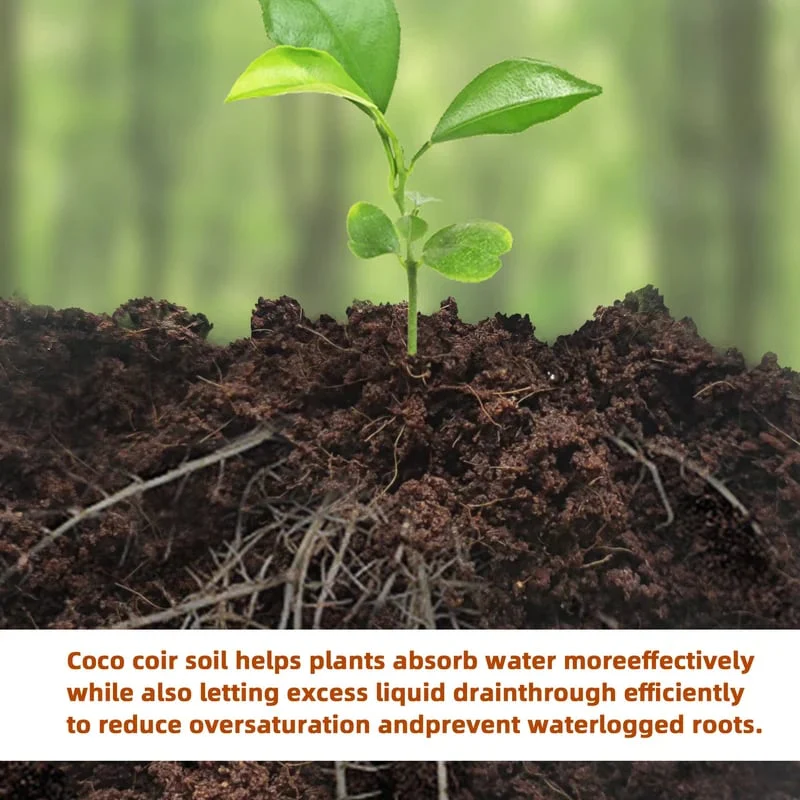 🌱Premium Organic Coconut Coir Bricks for Plants - Image 9