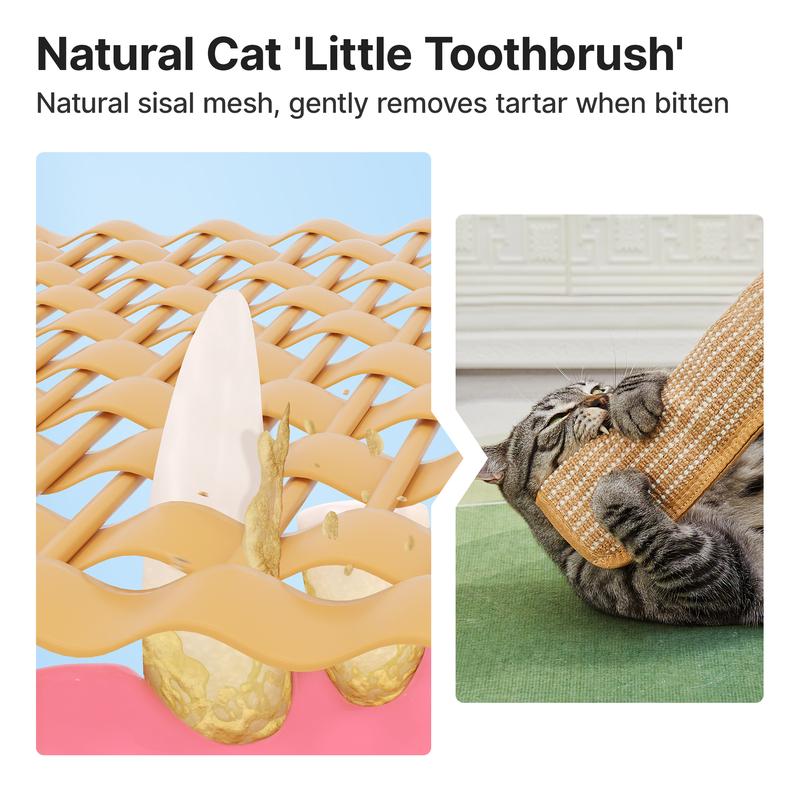 🐱Interactive Catnip Chew Toy - Image 6