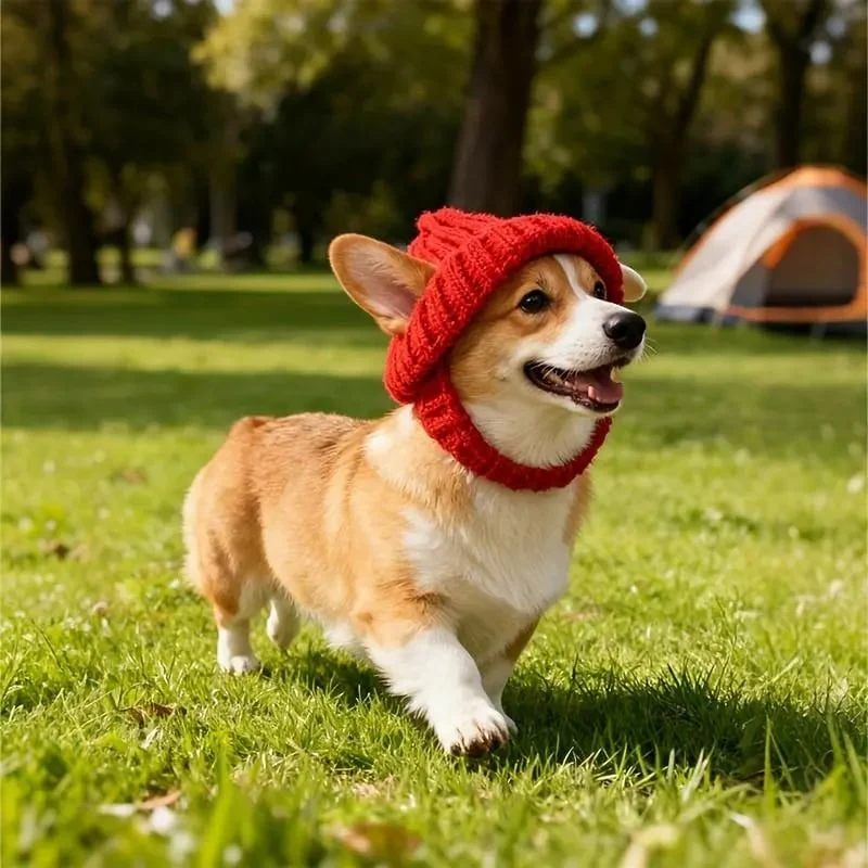 🔥 BUY 2 GET 1 FREE - 🐾Red Wool Knit Dog Beanie with Ear Flaps – Warm Winter Hat - Image 3