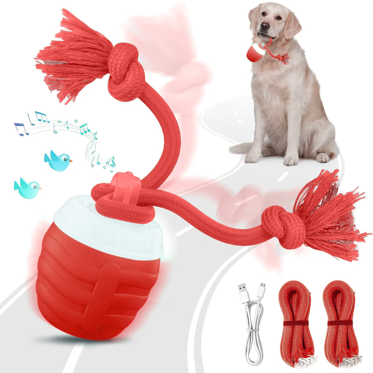 Smart Dog Toy That Keeps Your Best Friend Company - Image 10