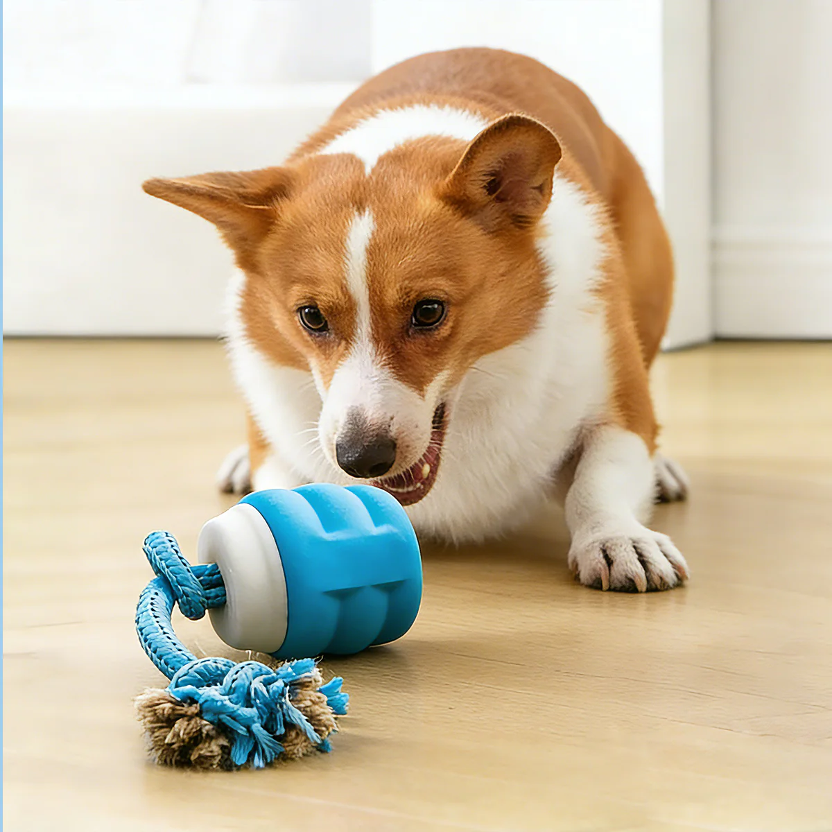 Smart Dog Toy That Keeps Your Best Friend Company - Image 4