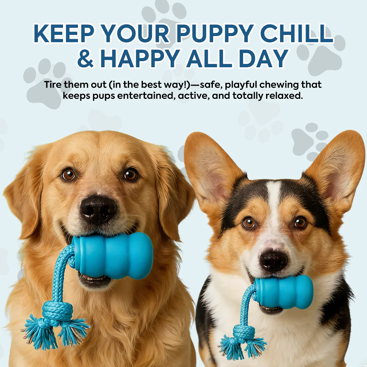 Smart Dog Toy That Keeps Your Best Friend Company - Image 5