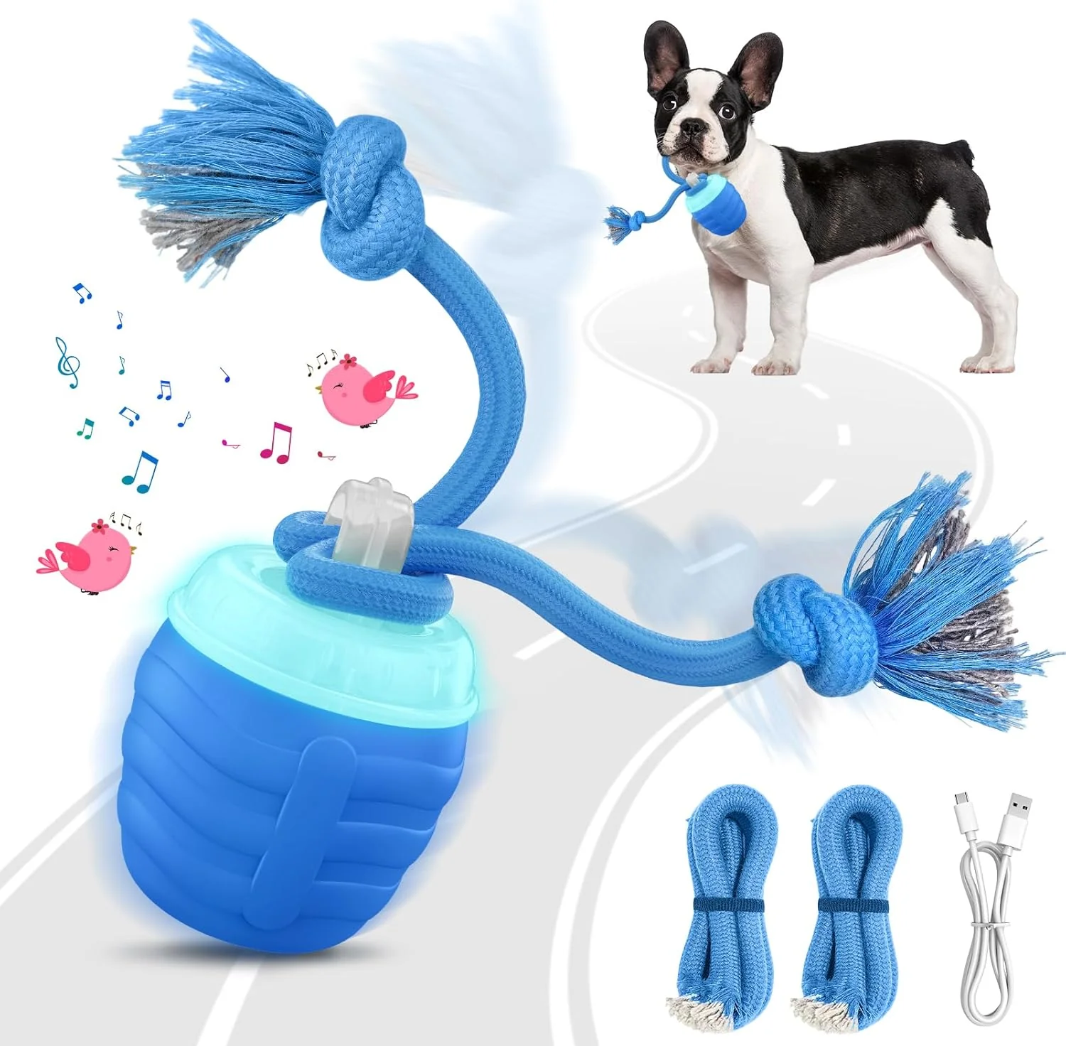 Smart Dog Toy That Keeps Your Best Friend Company - Image 9