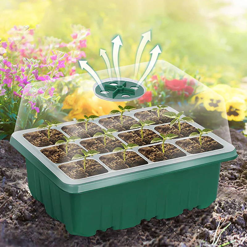 🔥Seed Starter Trays with Grow Light - Image 2