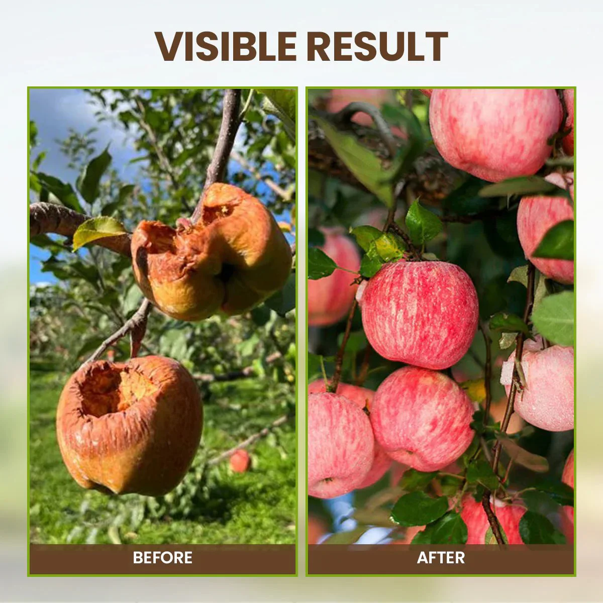 🏆75K+ SOLD! 🌳Soil Pro Activator - Image 5