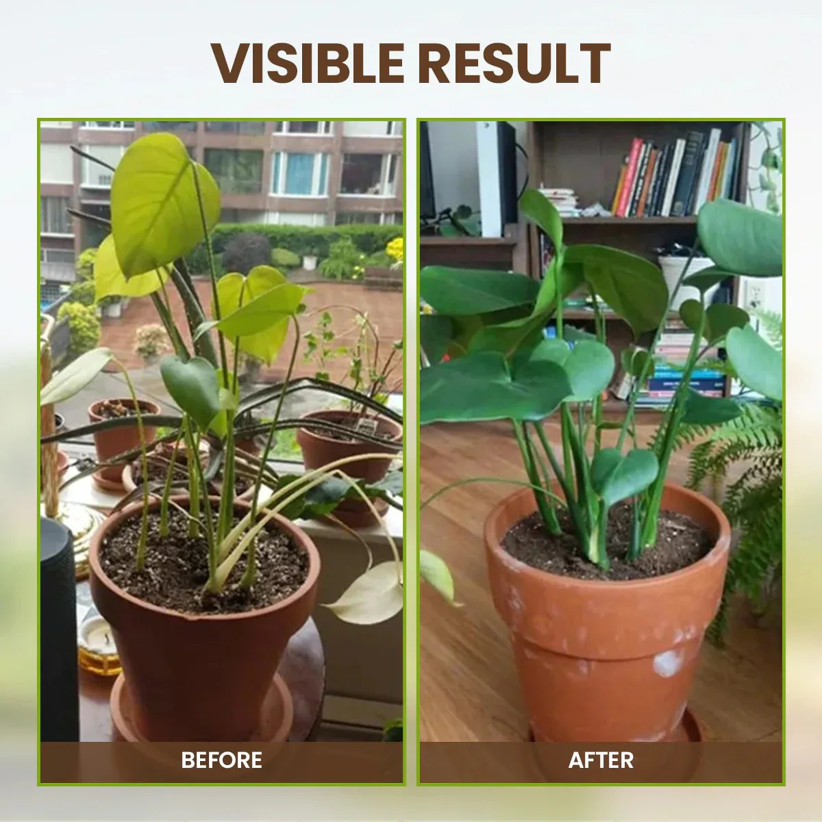 🏆75K+ SOLD! 🌳Soil Pro Activator - Image 6
