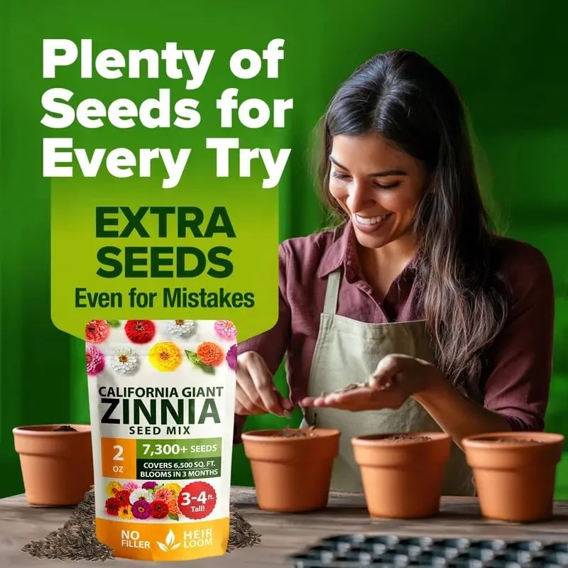 🔥Zinnia Seeds - Pure Seeds - No Filler - Heirloom Flower Seeds - Image 5