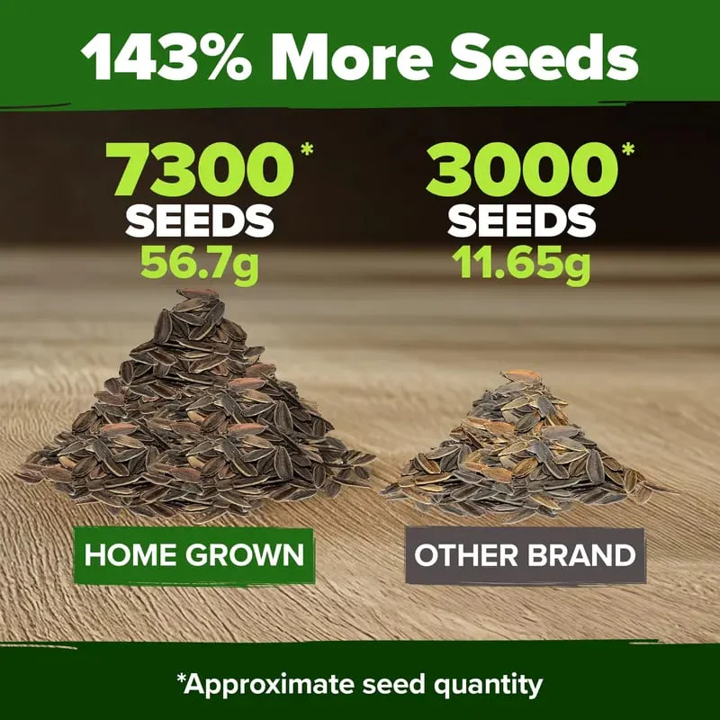 🔥Zinnia Seeds - Pure Seeds - No Filler - Heirloom Flower Seeds - Image 6